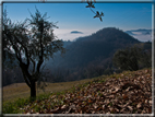 foto Colline Marosticane nella Nebbia